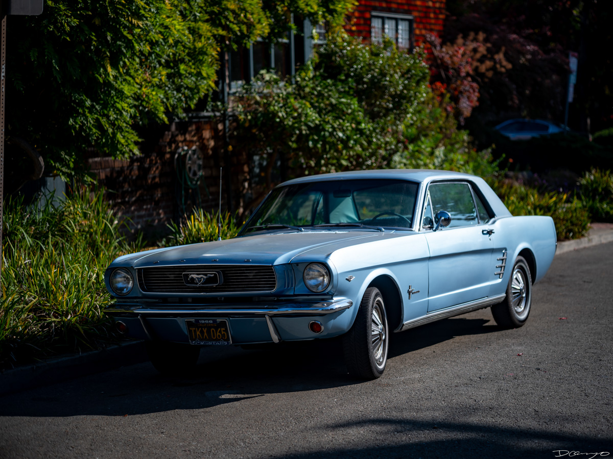 Pretty things that I wanted to take pictures of around Berkeley in 2023.